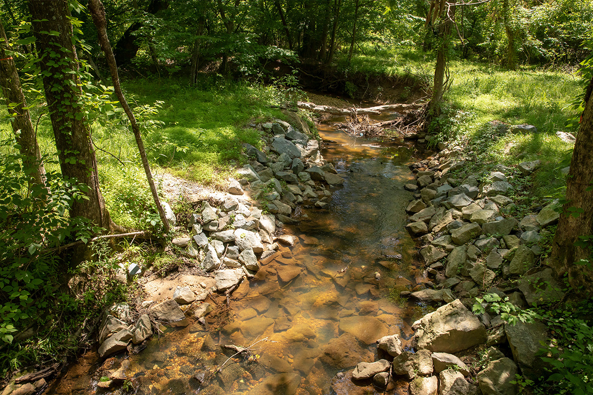 A shallow, narrow creek runs along a rocky bed in a shady area. The water is clear, offering a view of the entire bottom of the creek bed.
