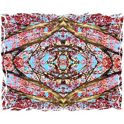 An abstract artwork with kaleidoscopic symmetry featuring red blobs and brown branch-like imagery against a sky-blue background.