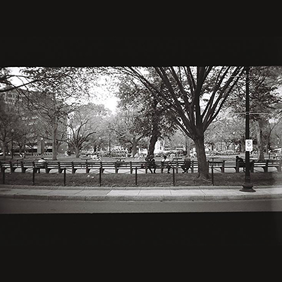 A black-and-white photo of a streetscape with several trees, a lamppost, and five people sitting on a long park bench.