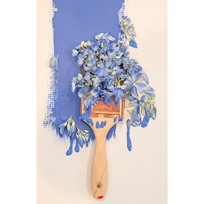 A multimedia sculpture featuring a wooded-handled paintbrush with its bristles covered in blue hydrangea blossoms that match a large blue streak of paint on the surface beneath the brush.