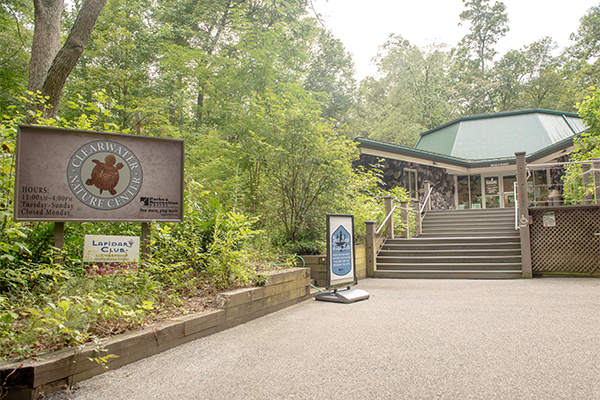 A pathway with stairs leading to a nature center, surrounded by forestry.