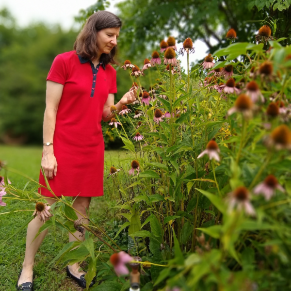 A woman in a red dress standing in a lush garden looking at pink coneflowers.