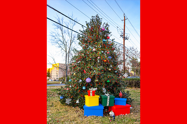A Christmas tree adorned with lights stands tall, with colorful presents sitting beneath it.